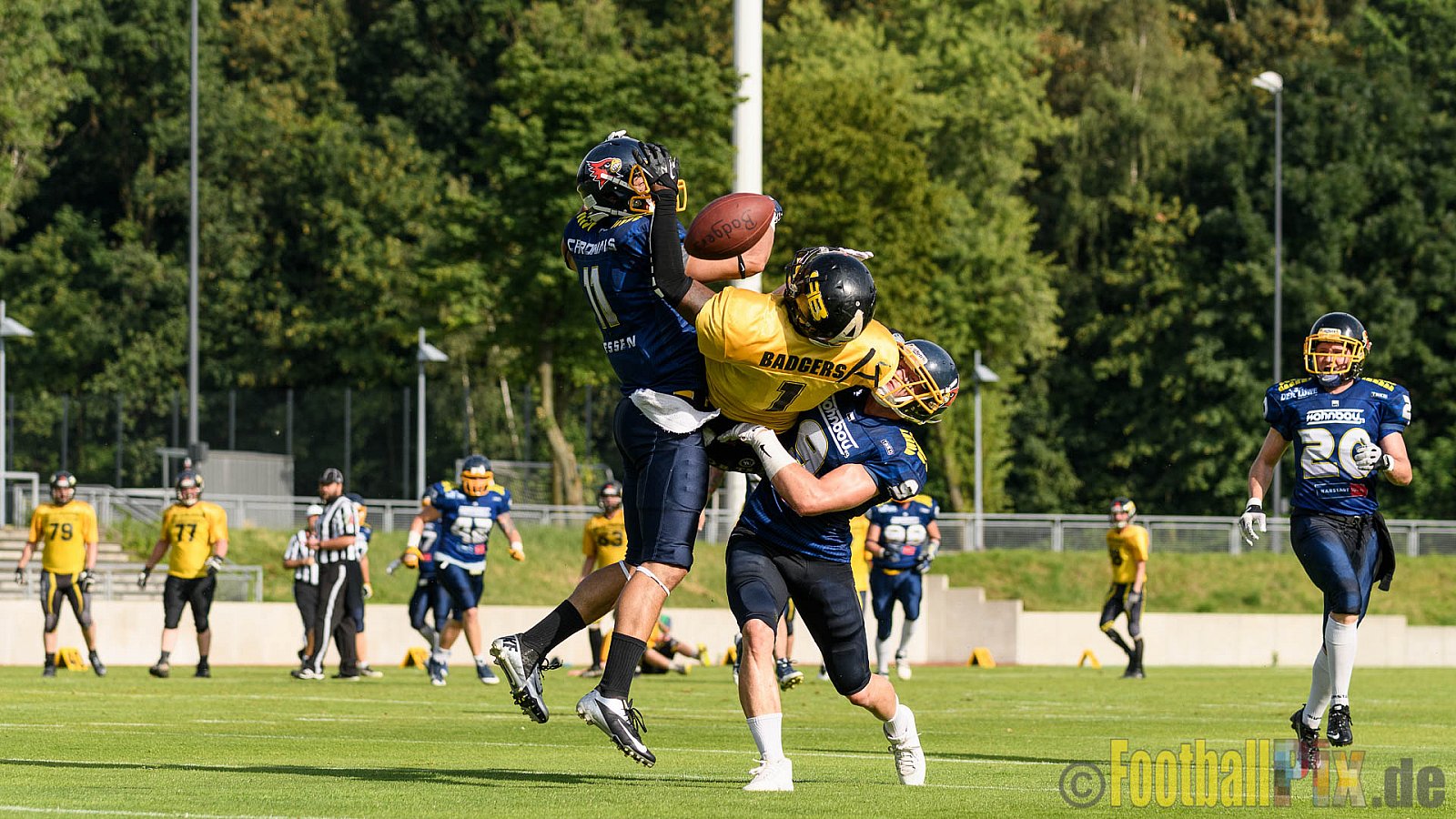 Essen Assindia Cardinals vs. Ritterhude Badgers - 23.07.2016 GFL2: Essen Assindia Cardinals vs. Ritterhude Badgers (41:35)