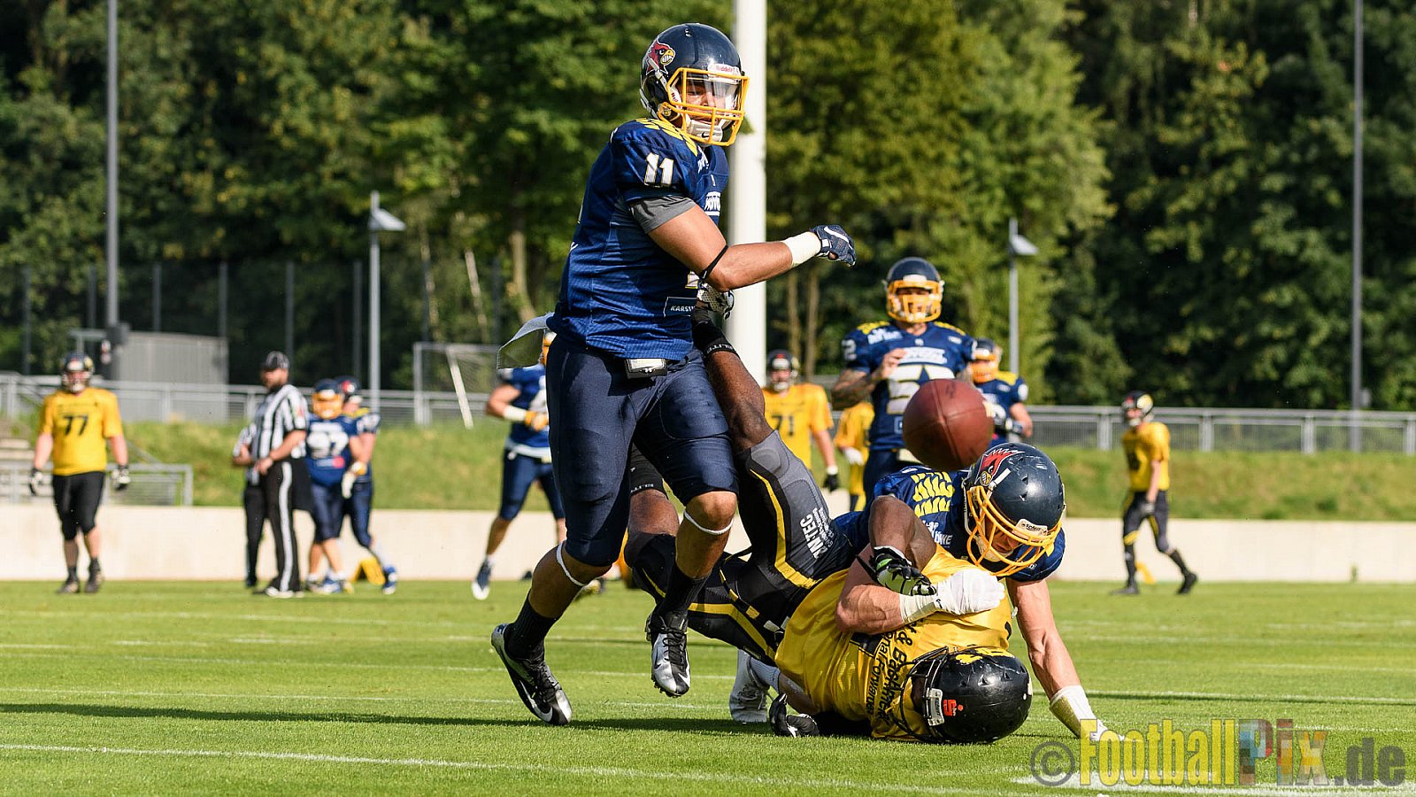 Essen Assindia Cardinals vs. Ritterhude Badgers - 23.07.2016 GFL2: Essen Assindia Cardinals vs. Ritterhude Badgers (41:35)