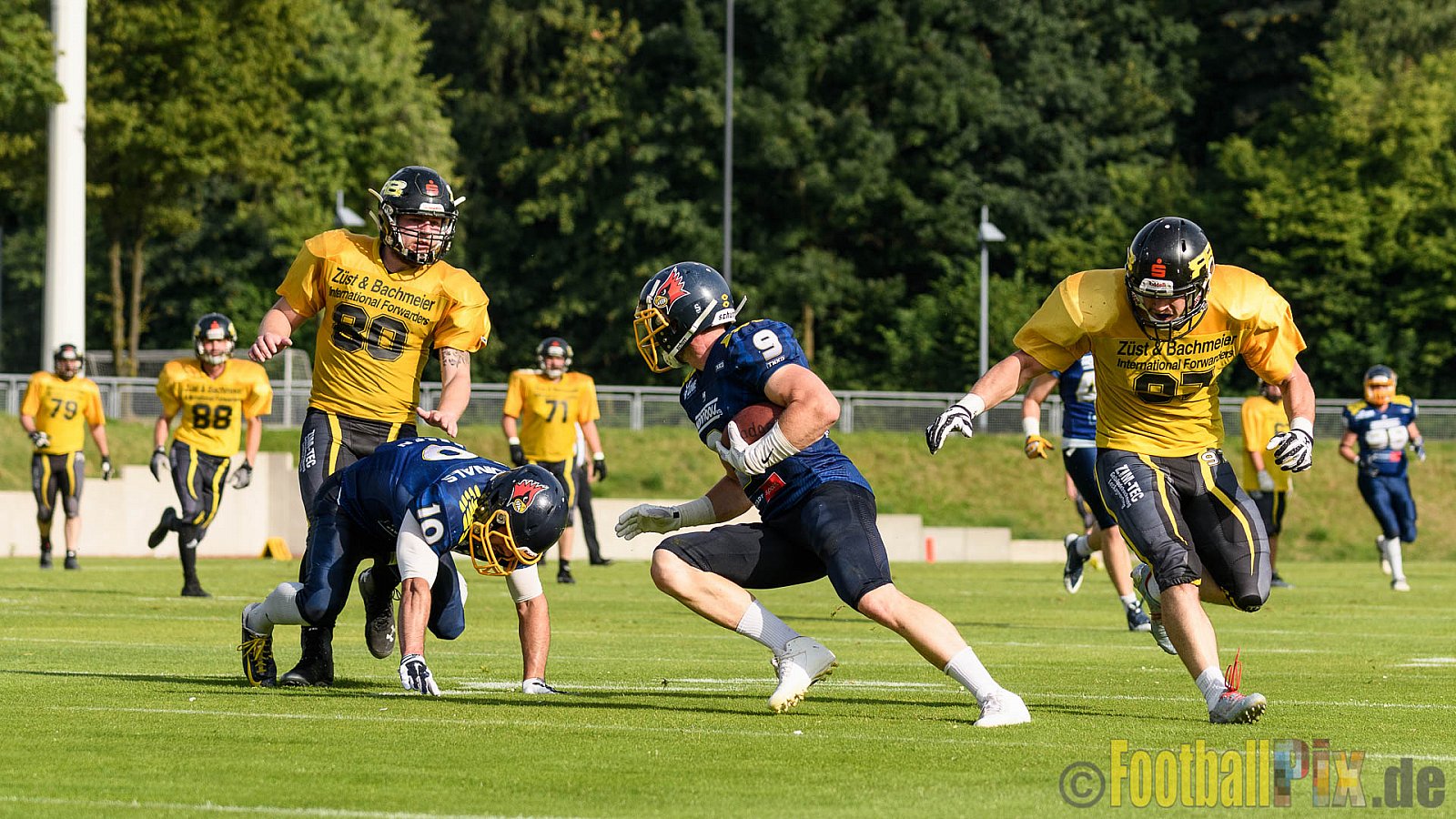 Essen Assindia Cardinals vs. Ritterhude Badgers - 23.07.2016 GFL2: Essen Assindia Cardinals vs. Ritterhude Badgers (41:35)