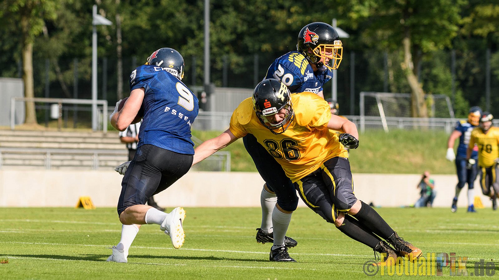 Essen Assindia Cardinals vs. Ritterhude Badgers - 23.07.2016 GFL2: Essen Assindia Cardinals vs. Ritterhude Badgers (41:35)