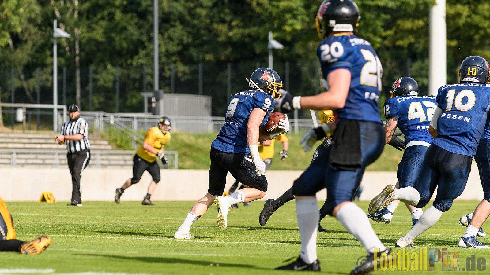 Essen Assindia Cardinals vs. Ritterhude Badgers - 23.07.2016 GFL2: Essen Assindia Cardinals vs. Ritterhude Badgers (41:35)