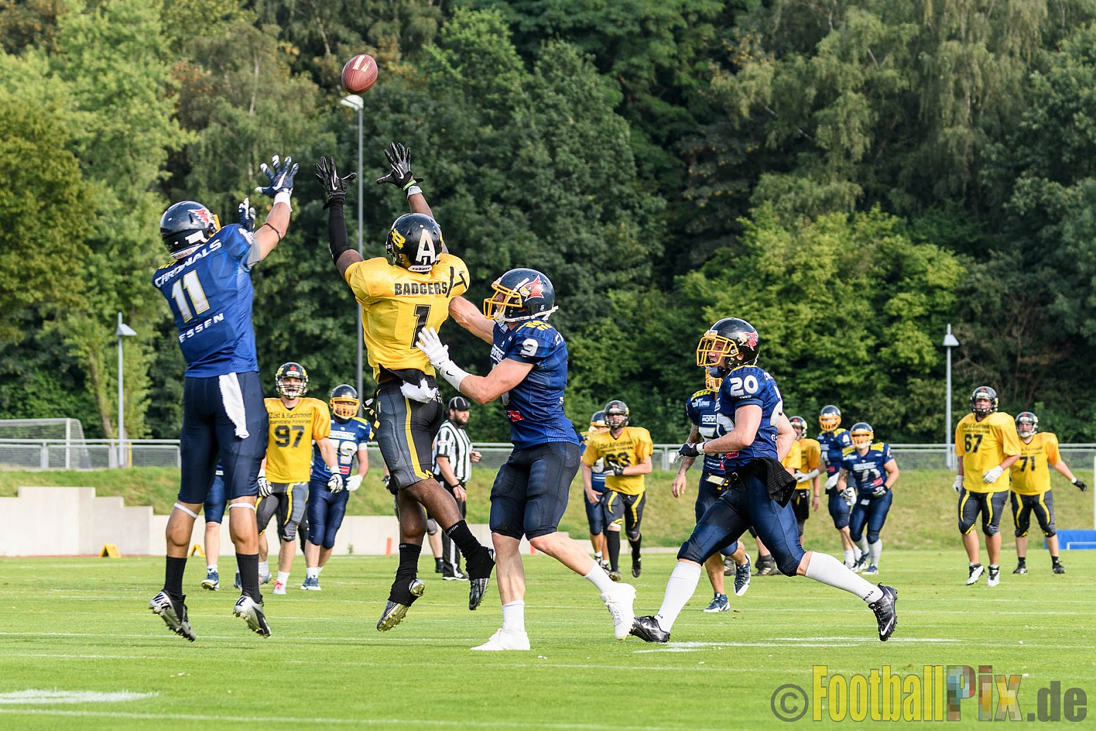 Essen Assindia Cardinals vs. Ritterhude Badgers - 23.07.2016 GFL2: Essen Assindia Cardinals vs. Ritterhude Badgers (41:35)