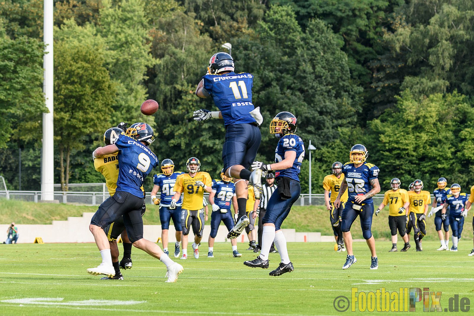 Essen Assindia Cardinals vs. Ritterhude Badgers - 23.07.2016 GFL2: Essen Assindia Cardinals vs. Ritterhude Badgers (41:35)
