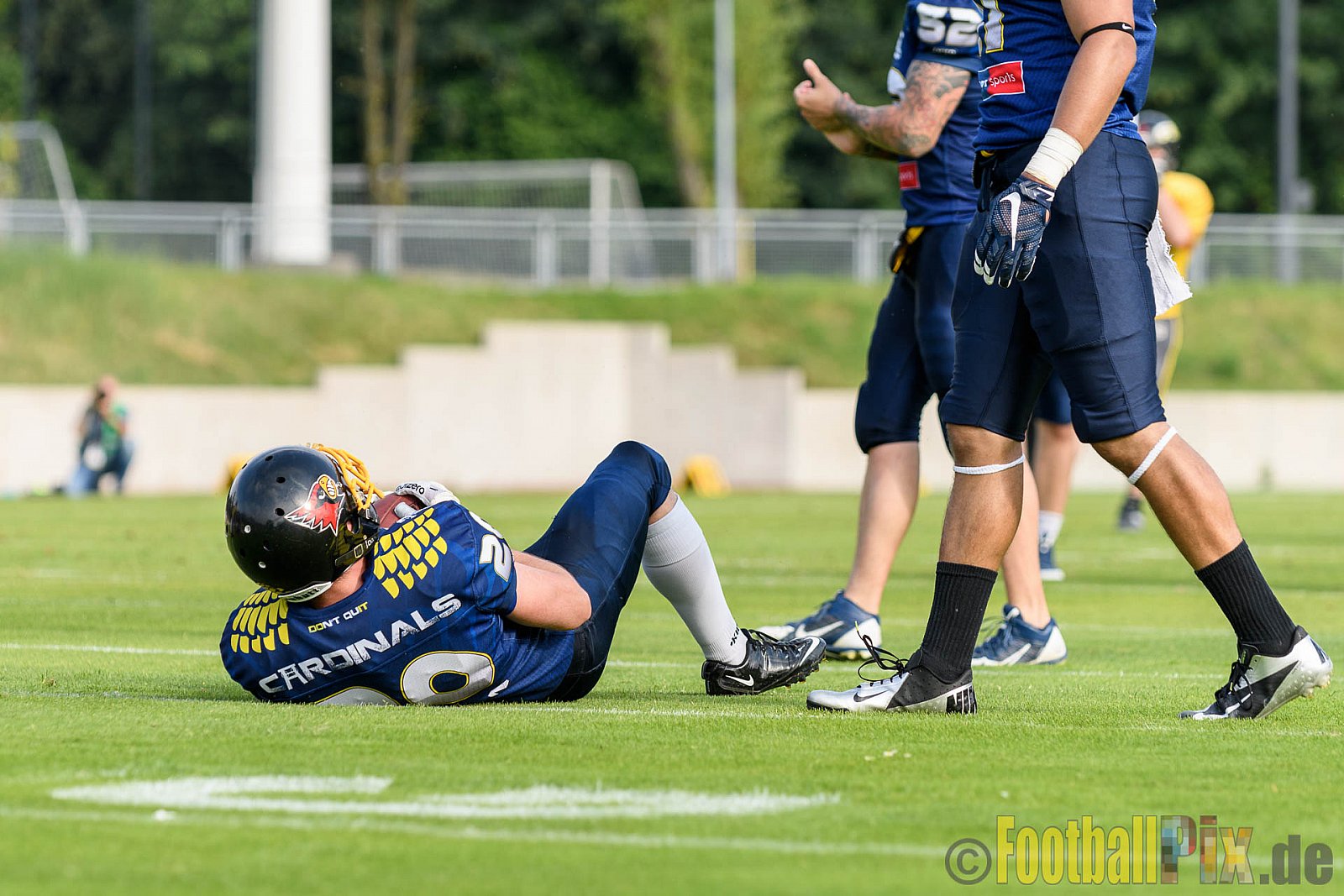 Essen Assindia Cardinals vs. Ritterhude Badgers - 23.07.2016 GFL2: Essen Assindia Cardinals vs. Ritterhude Badgers (41:35)