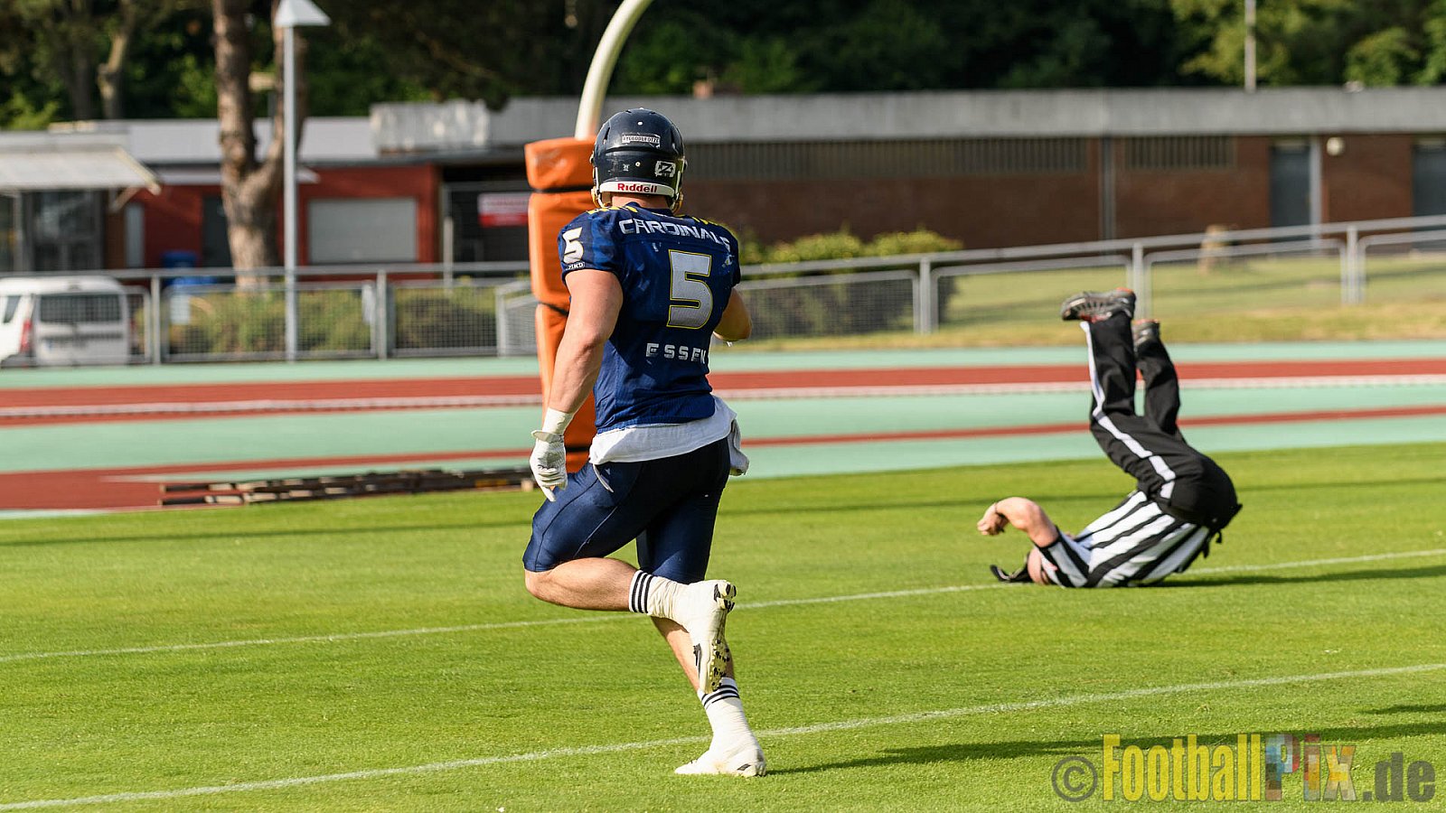 Essen Assindia Cardinals vs. Ritterhude Badgers - 23.07.2016 GFL2: Essen Assindia Cardinals vs. Ritterhude Badgers (41:35)