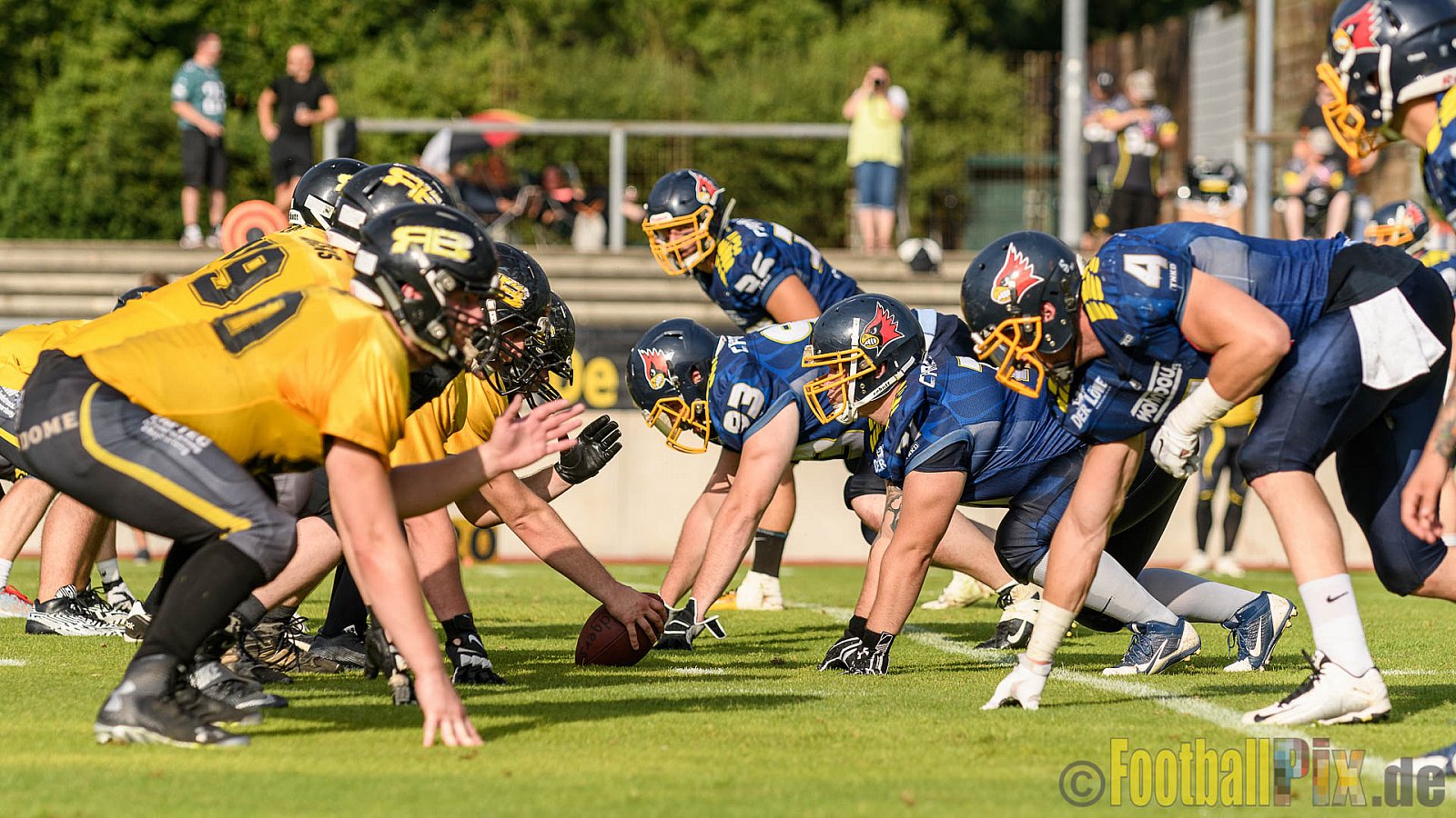 Essen Assindia Cardinals vs. Ritterhude Badgers - 23.07.2016 GFL2: Essen Assindia Cardinals vs. Ritterhude Badgers (41:35)