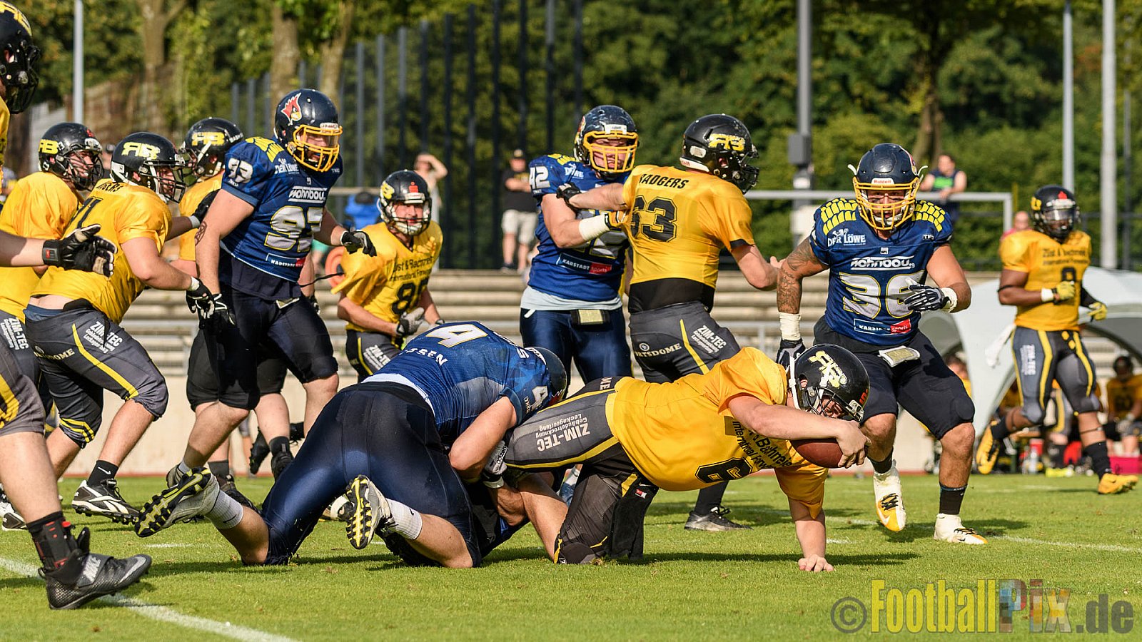 Essen Assindia Cardinals vs. Ritterhude Badgers - 23.07.2016 GFL2: Essen Assindia Cardinals vs. Ritterhude Badgers (41:35)
