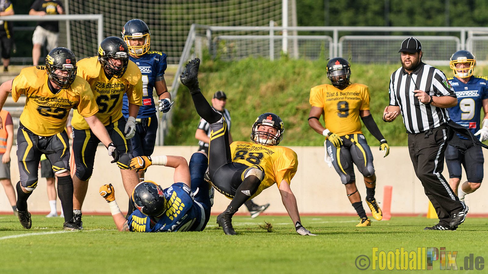 Essen Assindia Cardinals vs. Ritterhude Badgers - 23.07.2016 GFL2: Essen Assindia Cardinals vs. Ritterhude Badgers (41:35)