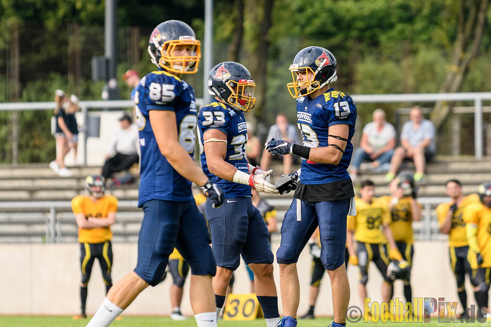 Essen Assindia Cardinals vs. Ritterhude Badgers - 23.07.2016 GFL2: Essen Assindia Cardinals vs. Ritterhude Badgers (41:35)
