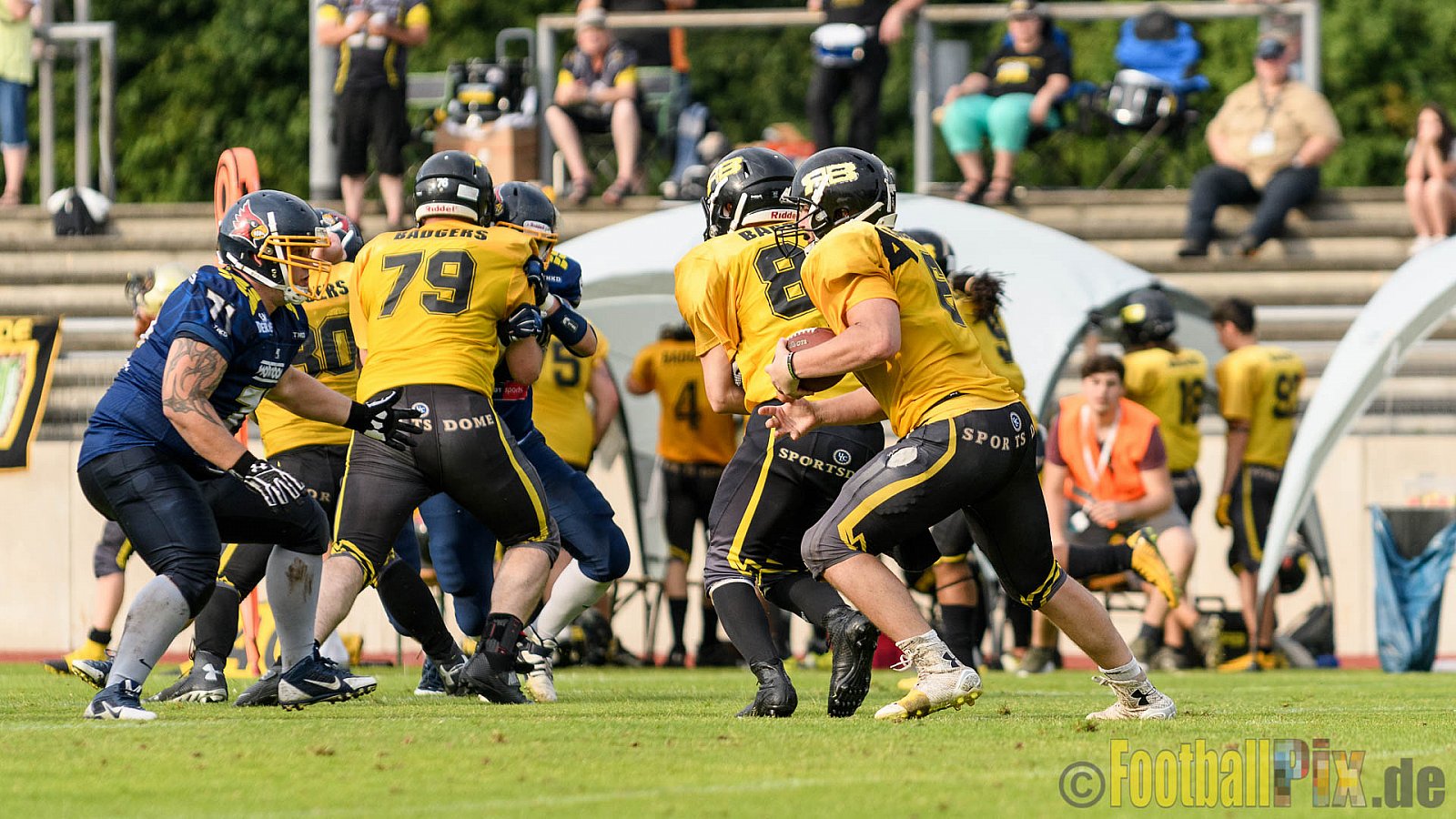 Essen Assindia Cardinals vs. Ritterhude Badgers - 23.07.2016 GFL2: Essen Assindia Cardinals vs. Ritterhude Badgers (41:35)