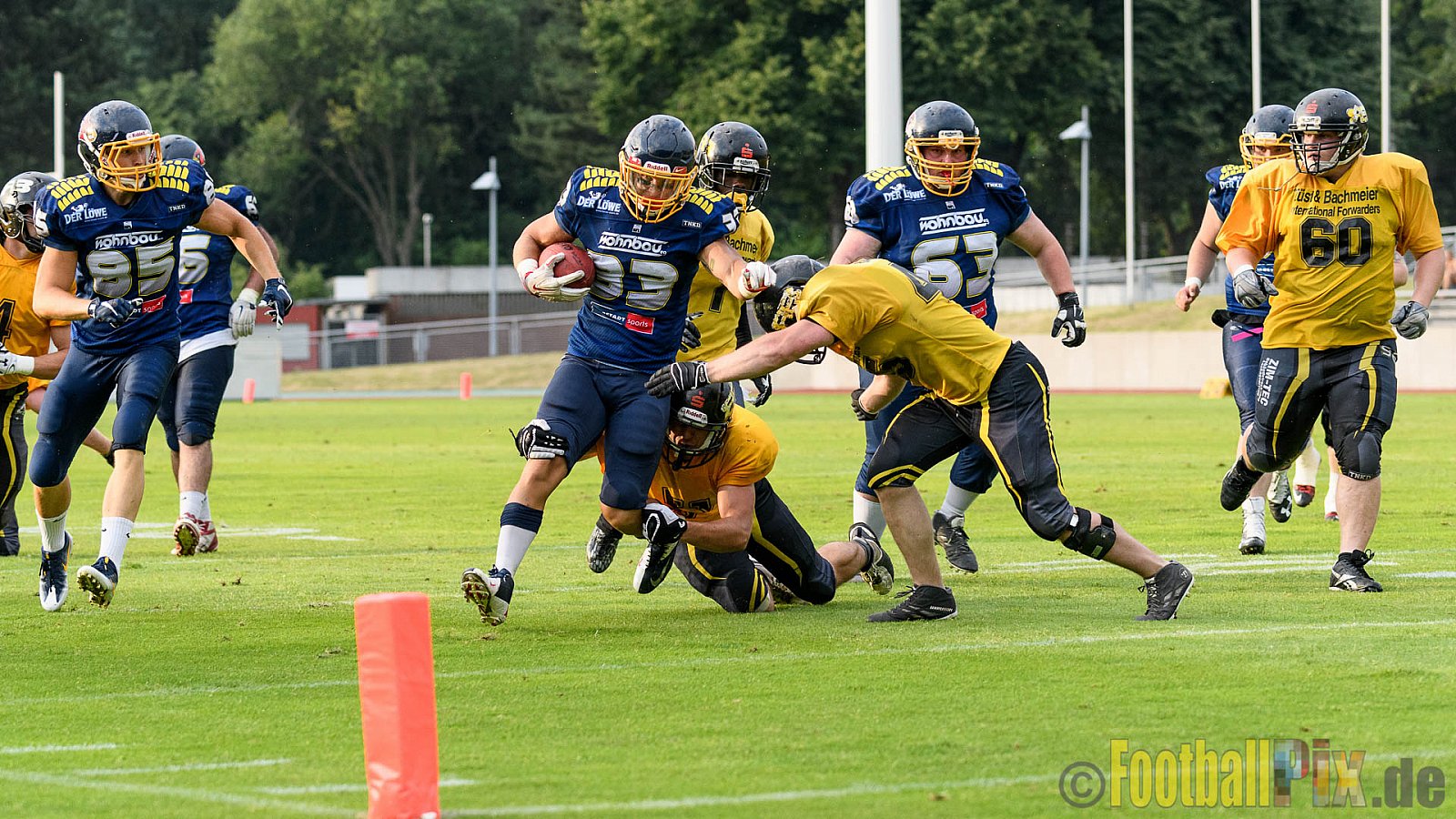 Essen Assindia Cardinals vs. Ritterhude Badgers - 23.07.2016 GFL2: Essen Assindia Cardinals vs. Ritterhude Badgers (41:35)