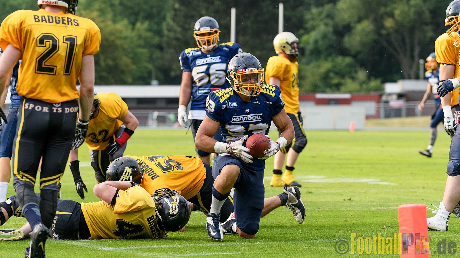 Essen Assindia Cardinals vs. Ritterhude Badgers - 23.07.2016 GFL2: Essen Assindia Cardinals vs. Ritterhude Badgers (41:35)