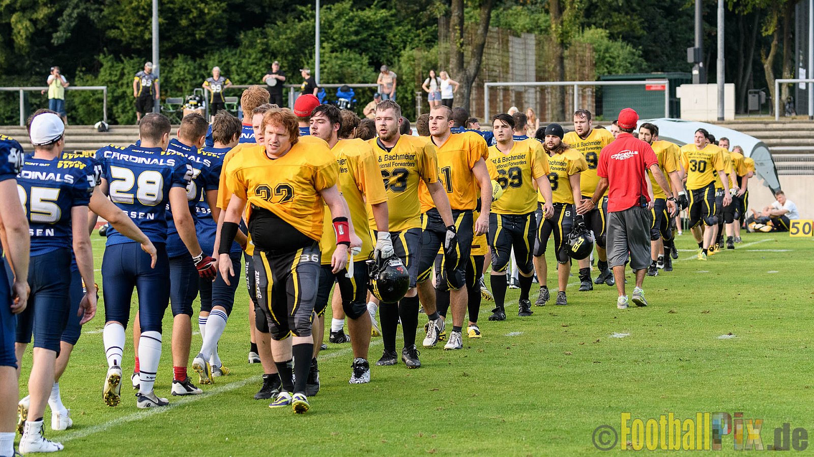 Essen Assindia Cardinals vs. Ritterhude Badgers - 23.07.2016 GFL2: Essen Assindia Cardinals vs. Ritterhude Badgers (41:35)