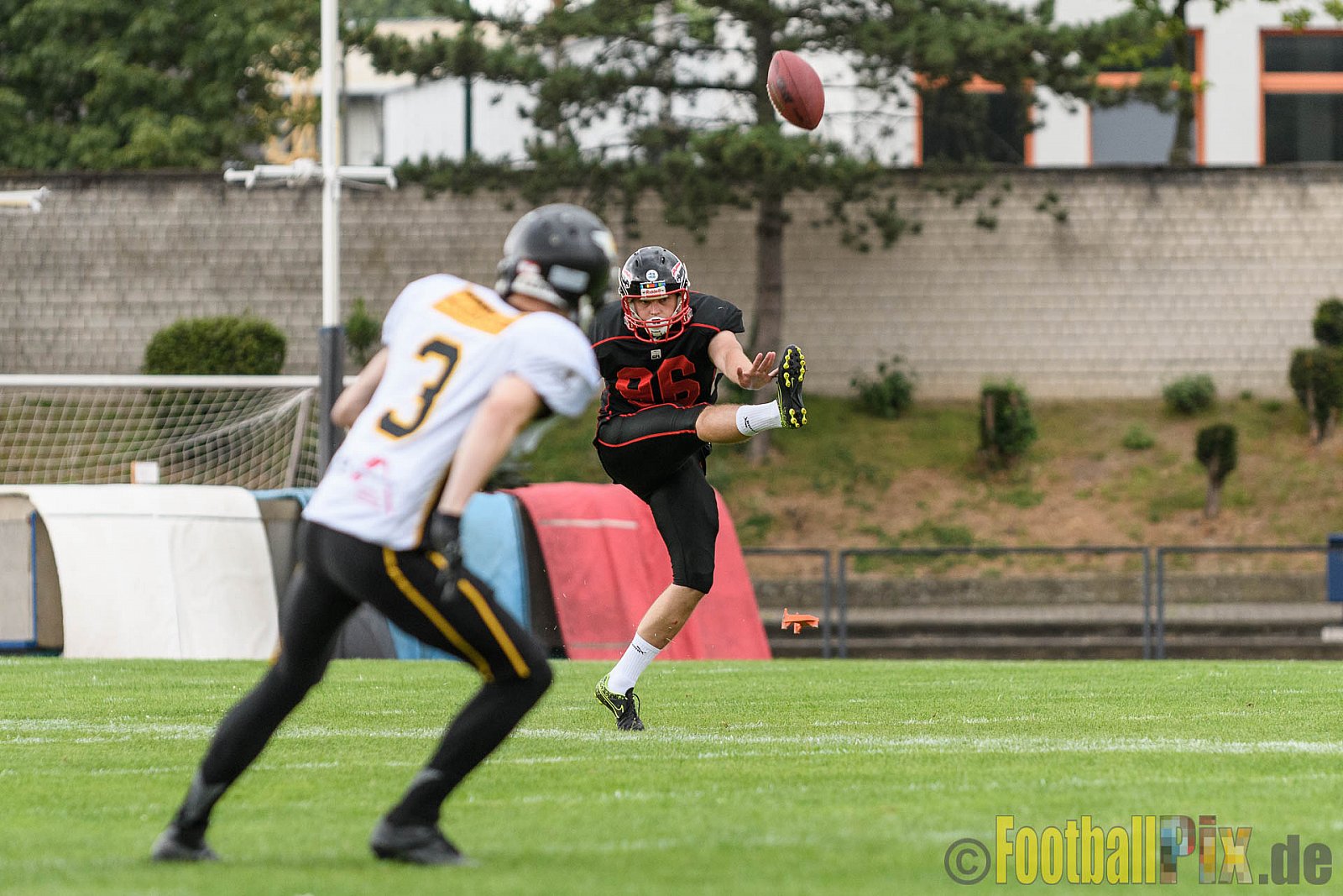 Düsseldorf Panther vs. Berlin Adler - 30.07.2016 GFL Nord: Düsseldorf Panther vs. Berlin Adler (39:41)