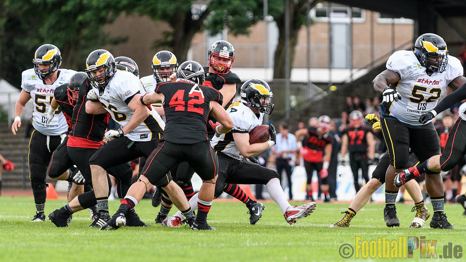Düsseldorf Panther vs. Berlin Adler - 30.07.2016 GFL Nord: Düsseldorf Panther vs. Berlin Adler (39:41)