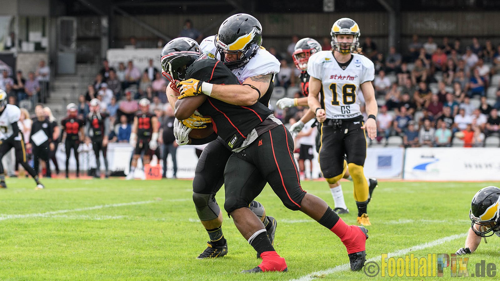 Düsseldorf Panther vs. Berlin Adler - 30.07.2016 GFL Nord: Düsseldorf Panther vs. Berlin Adler (39:41)