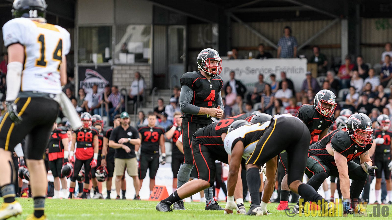 Düsseldorf Panther vs. Berlin Adler - 30.07.2016 GFL Nord: Düsseldorf Panther vs. Berlin Adler (39:41)