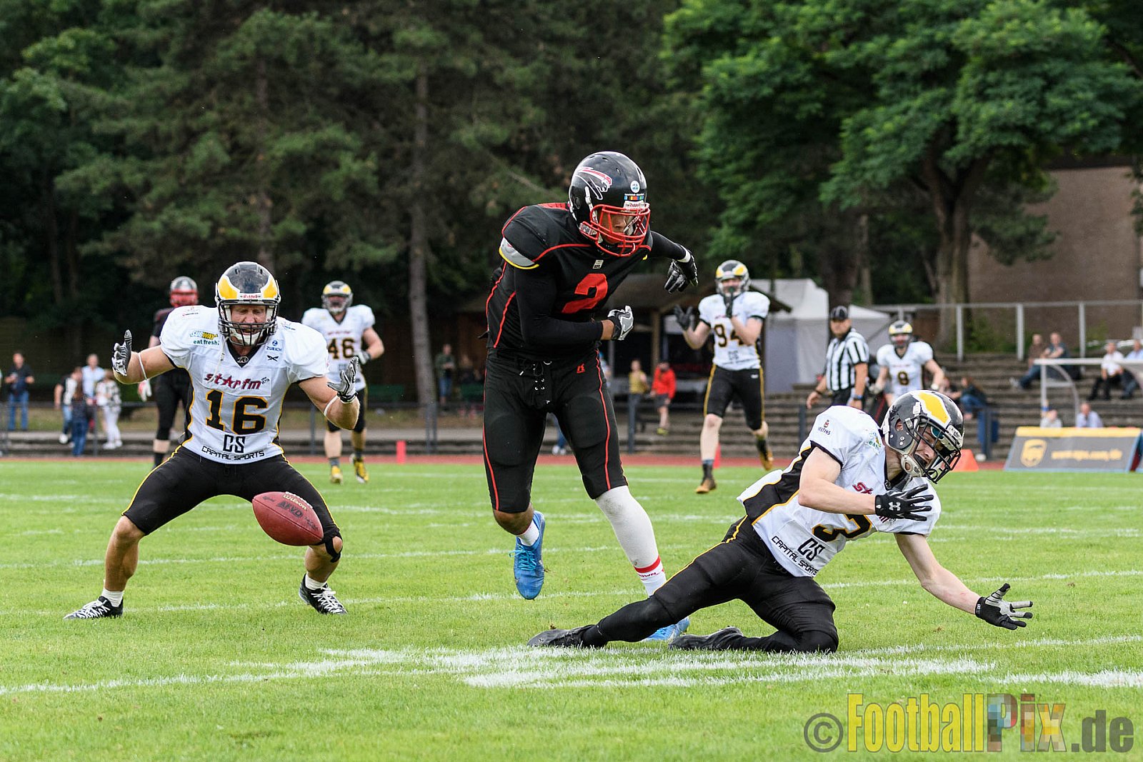 Düsseldorf Panther vs. Berlin Adler - 30.07.2016 GFL Nord: Düsseldorf Panther vs. Berlin Adler (39:41)