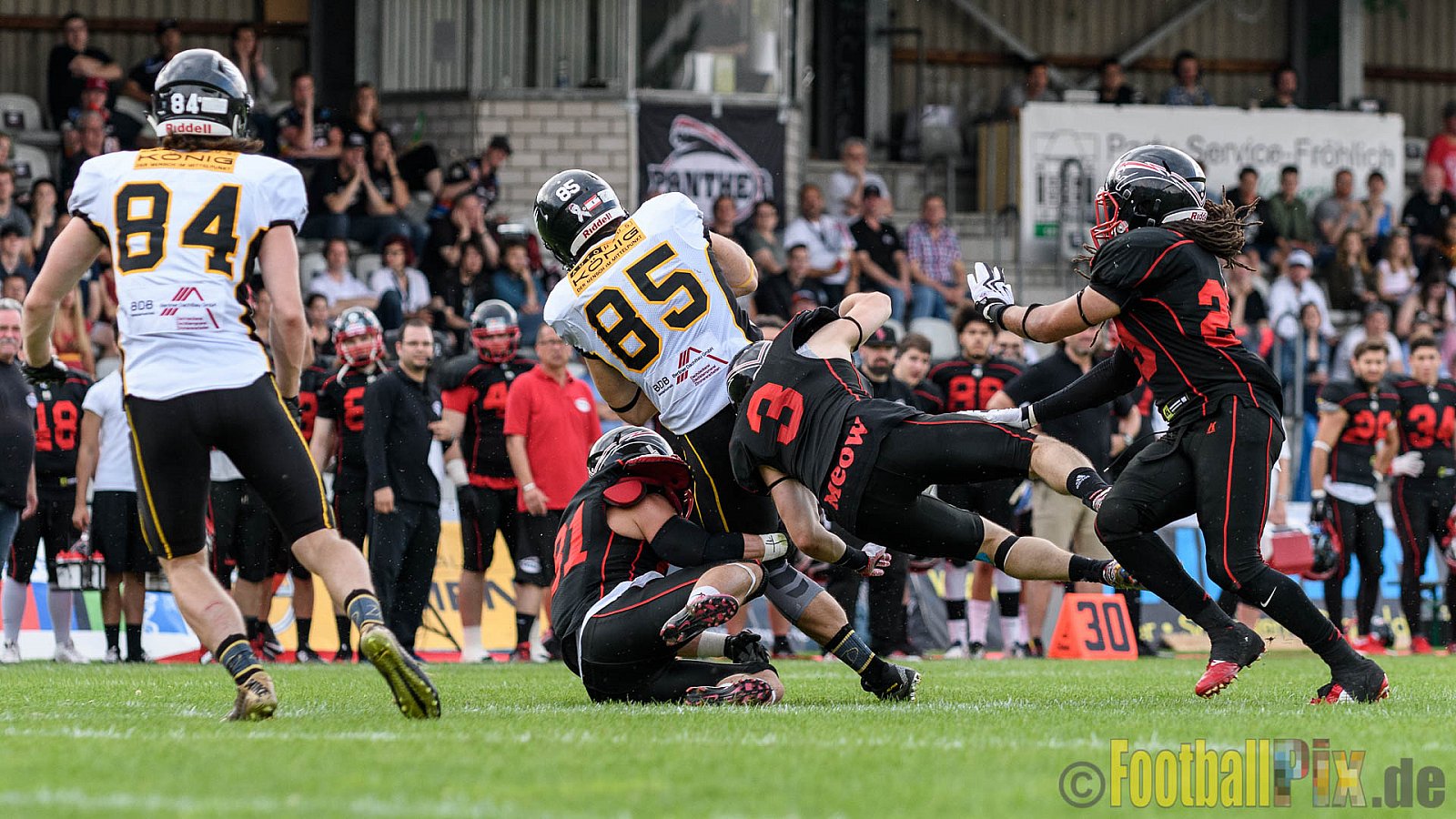 Düsseldorf Panther vs. Berlin Adler - 30.07.2016 GFL Nord: Düsseldorf Panther vs. Berlin Adler (39:41)