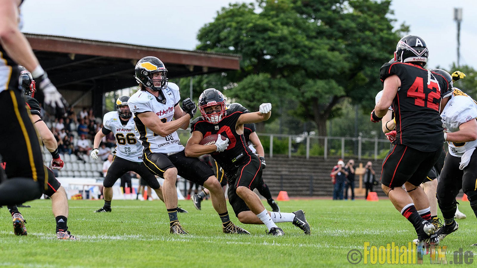 Düsseldorf Panther vs. Berlin Adler - 30.07.2016 GFL Nord: Düsseldorf Panther vs. Berlin Adler (39:41)