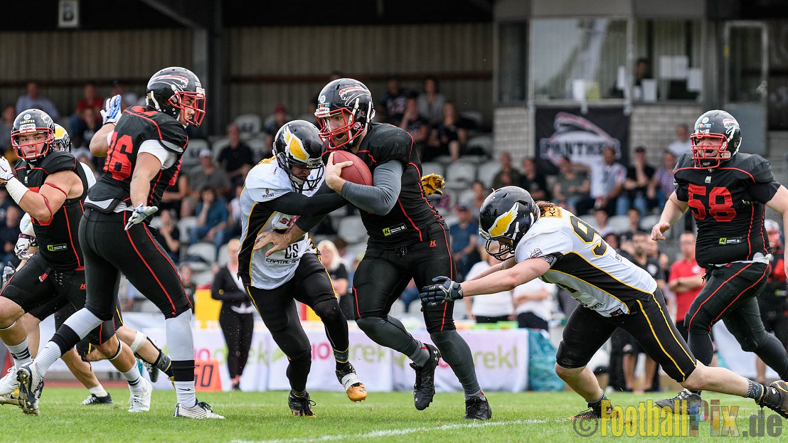 Düsseldorf Panther vs. Berlin Adler - 30.07.2016 GFL Nord: Düsseldorf Panther vs. Berlin Adler (39:41)