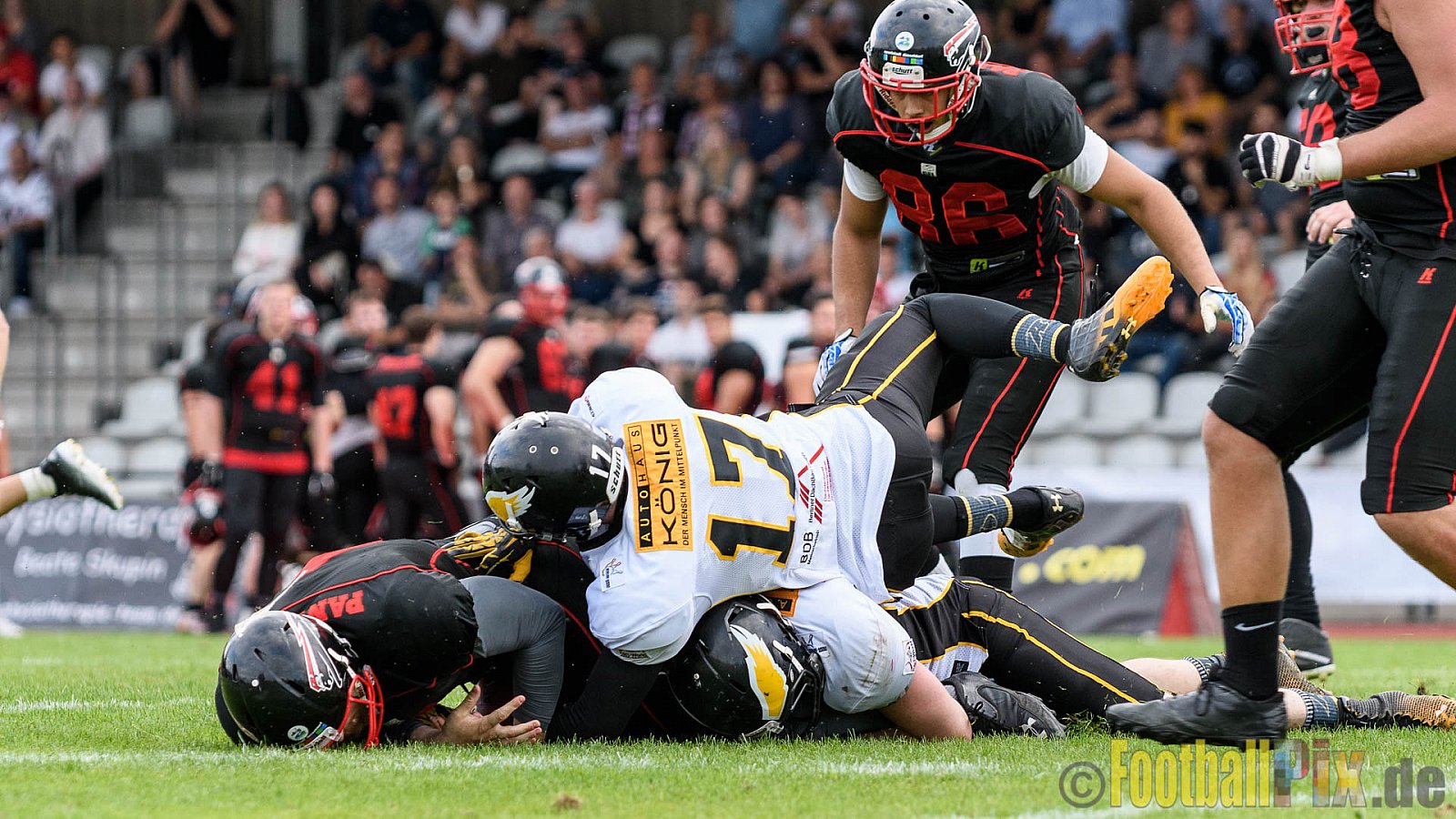 Düsseldorf Panther vs. Berlin Adler - 30.07.2016 GFL Nord: Düsseldorf Panther vs. Berlin Adler (39:41)