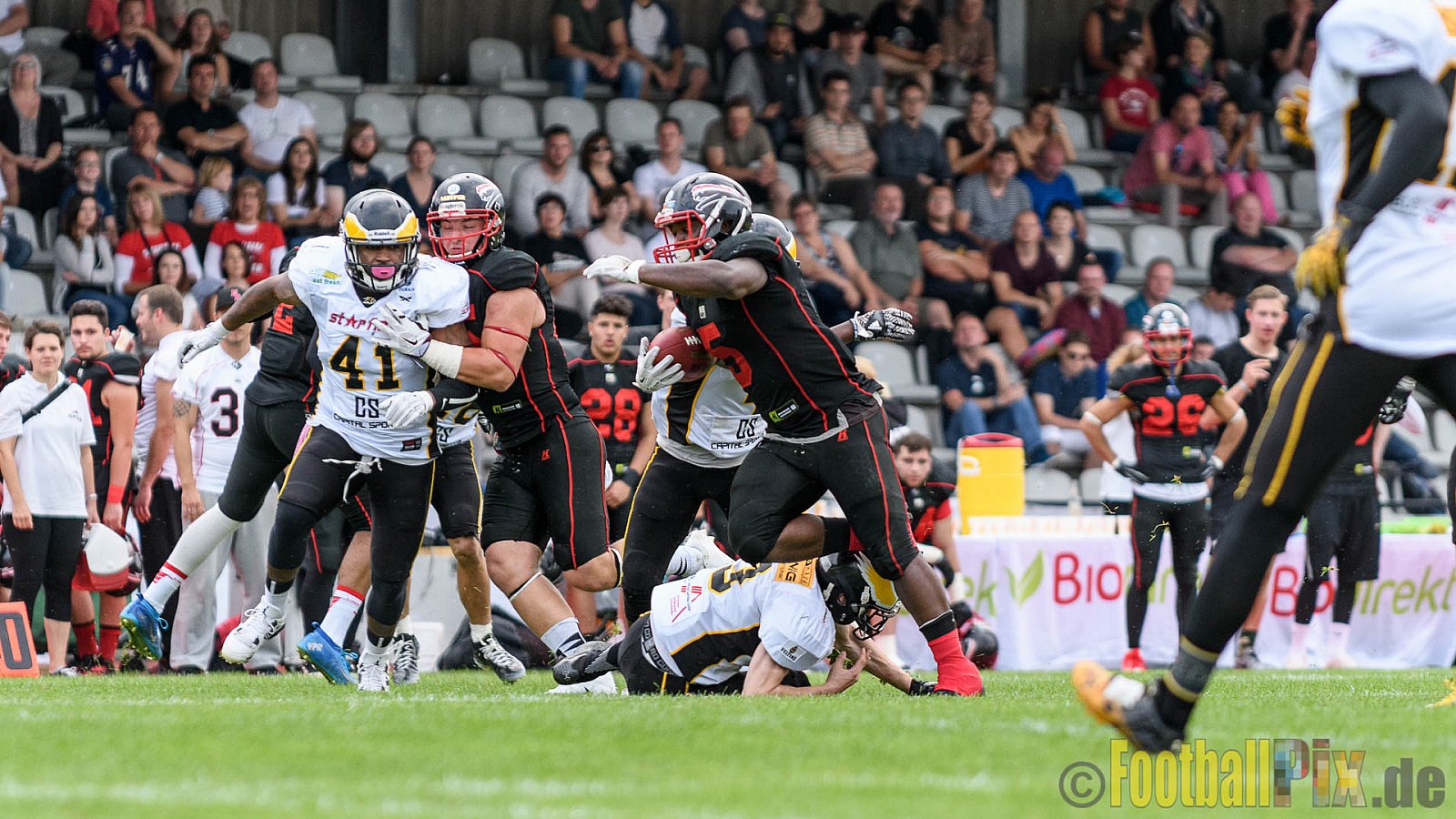 Düsseldorf Panther vs. Berlin Adler - 30.07.2016 GFL Nord: Düsseldorf Panther vs. Berlin Adler (39:41)
