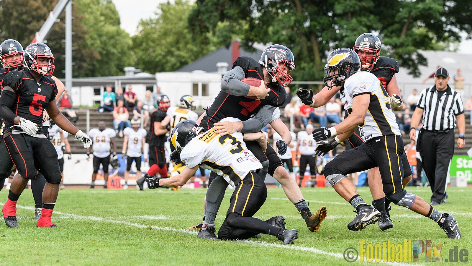 Düsseldorf Panther vs. Berlin Adler - 30.07.2016 GFL Nord: Düsseldorf Panther vs. Berlin Adler (39:41)