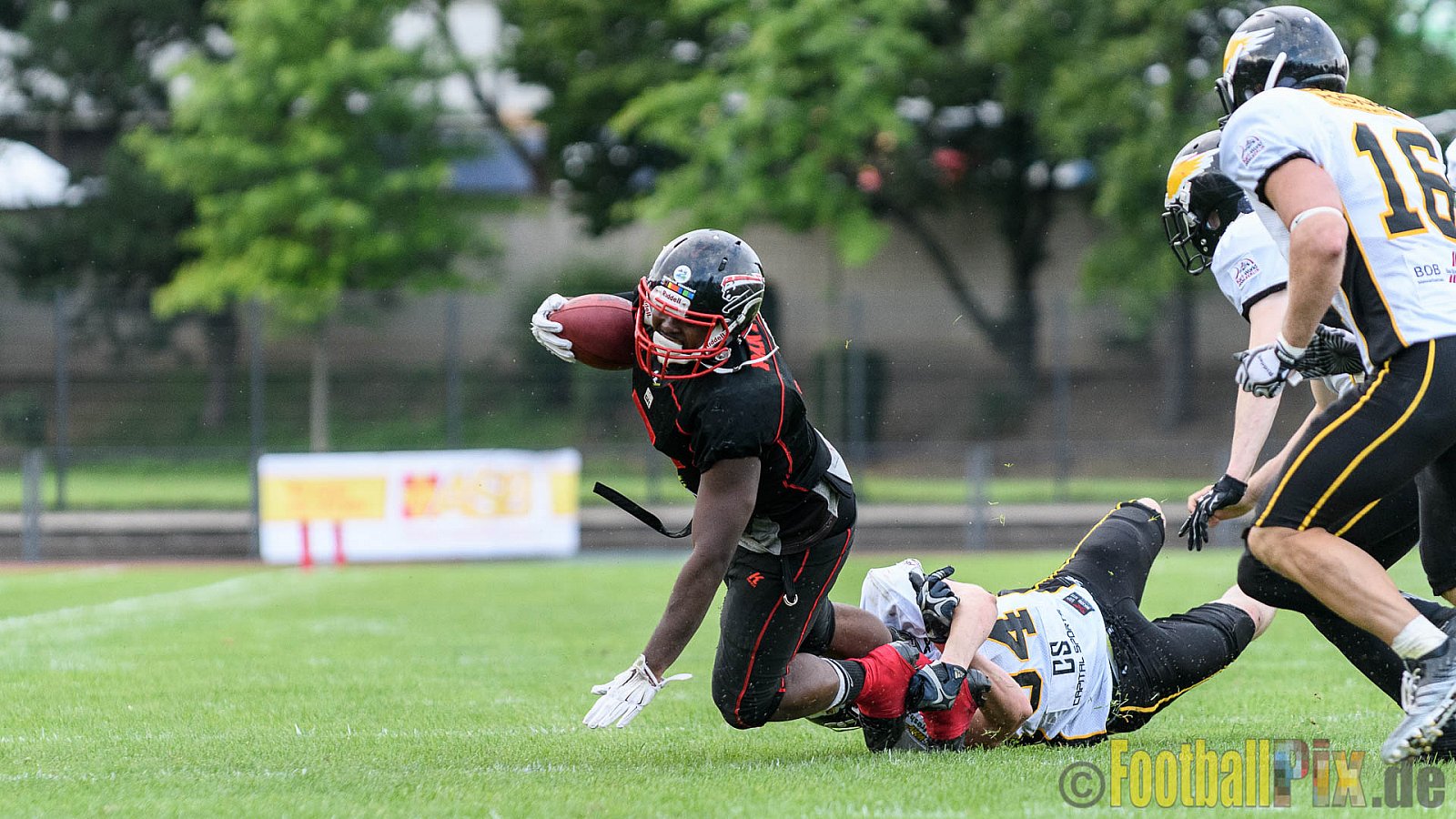 Düsseldorf Panther vs. Berlin Adler - 30.07.2016 GFL Nord: Düsseldorf Panther vs. Berlin Adler (39:41)