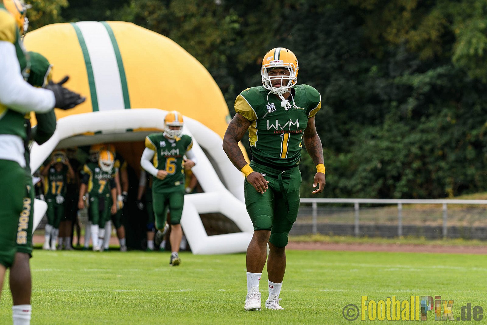 Cologne Crocodiles vs. Essen Assindia Cardinals - 31.07.2016 GFL2: Cologne Crocodiles vs. Essen Assindia Cardinals (43:7)