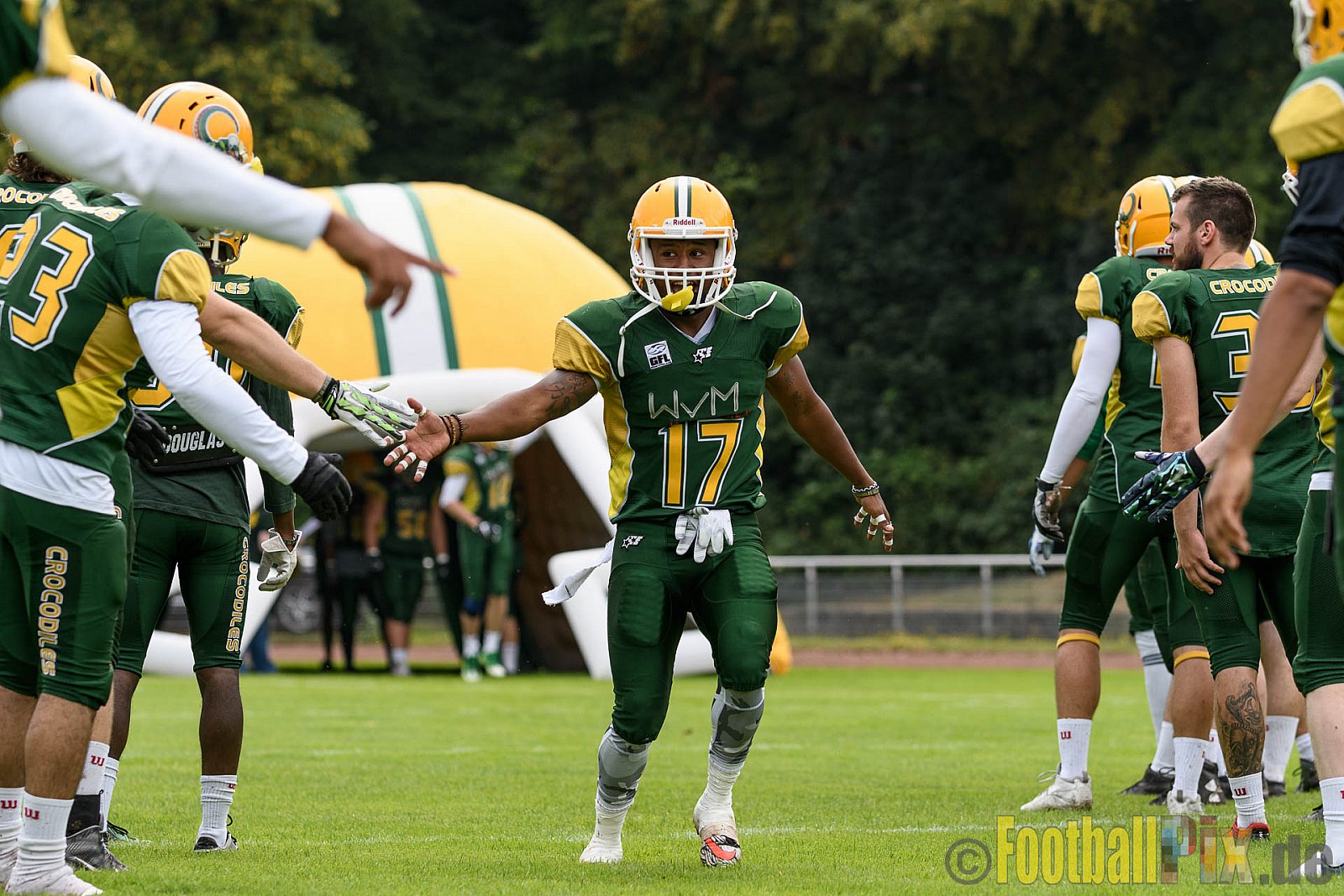 Cologne Crocodiles vs. Essen Assindia Cardinals - 31.07.2016 GFL2: Cologne Crocodiles vs. Essen Assindia Cardinals (43:7)