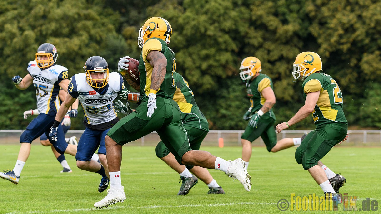 Cologne Crocodiles vs. Essen Assindia Cardinals - 31.07.2016 GFL2: Cologne Crocodiles vs. Essen Assindia Cardinals (43:7)