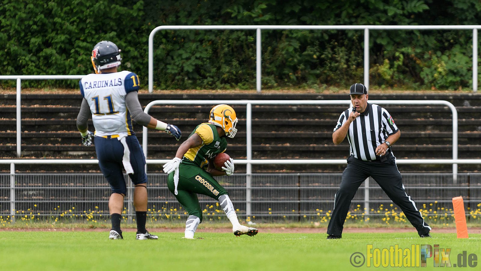 Cologne Crocodiles vs. Essen Assindia Cardinals - 31.07.2016 GFL2: Cologne Crocodiles vs. Essen Assindia Cardinals (43:7)