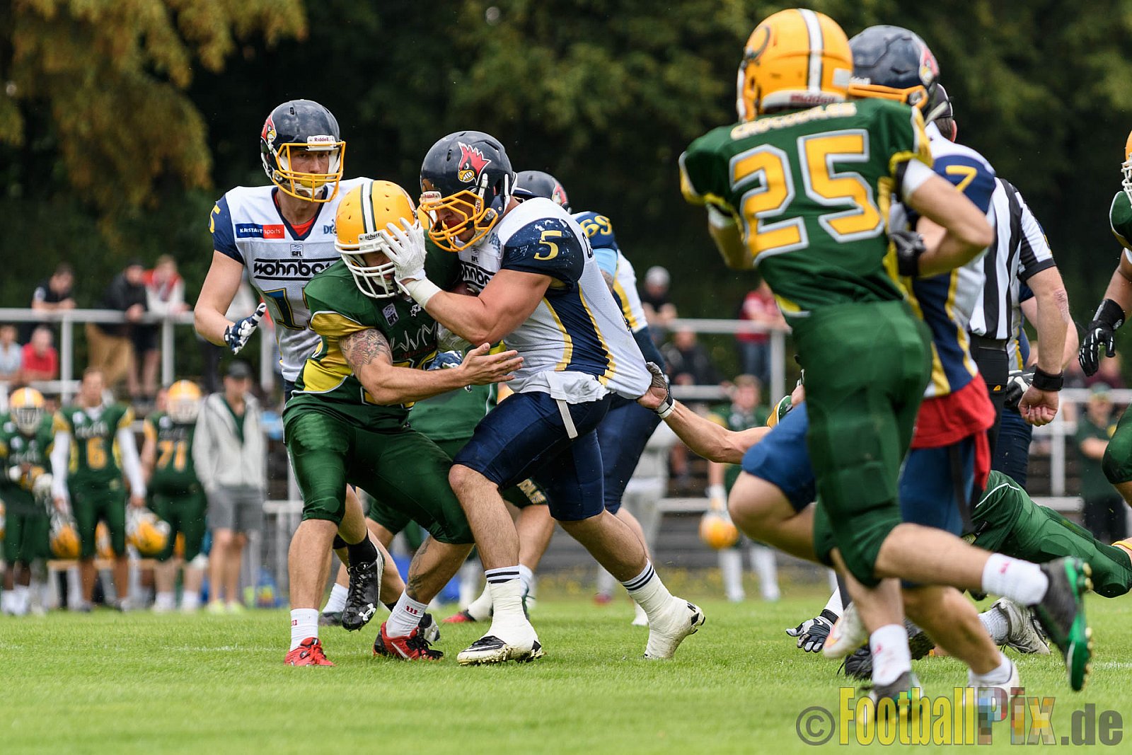 Cologne Crocodiles vs. Essen Assindia Cardinals - 31.07.2016 GFL2: Cologne Crocodiles vs. Essen Assindia Cardinals (43:7)