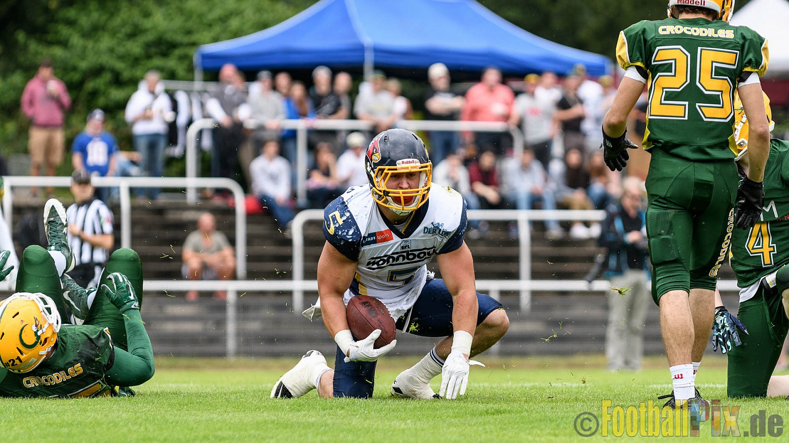 Cologne Crocodiles vs. Essen Assindia Cardinals - 31.07.2016 GFL2: Cologne Crocodiles vs. Essen Assindia Cardinals (43:7)