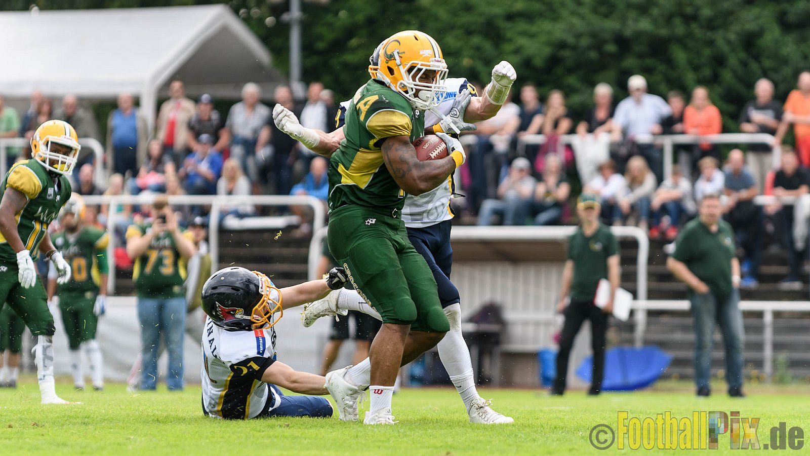 Cologne Crocodiles vs. Essen Assindia Cardinals - 31.07.2016 GFL2: Cologne Crocodiles vs. Essen Assindia Cardinals (43:7)