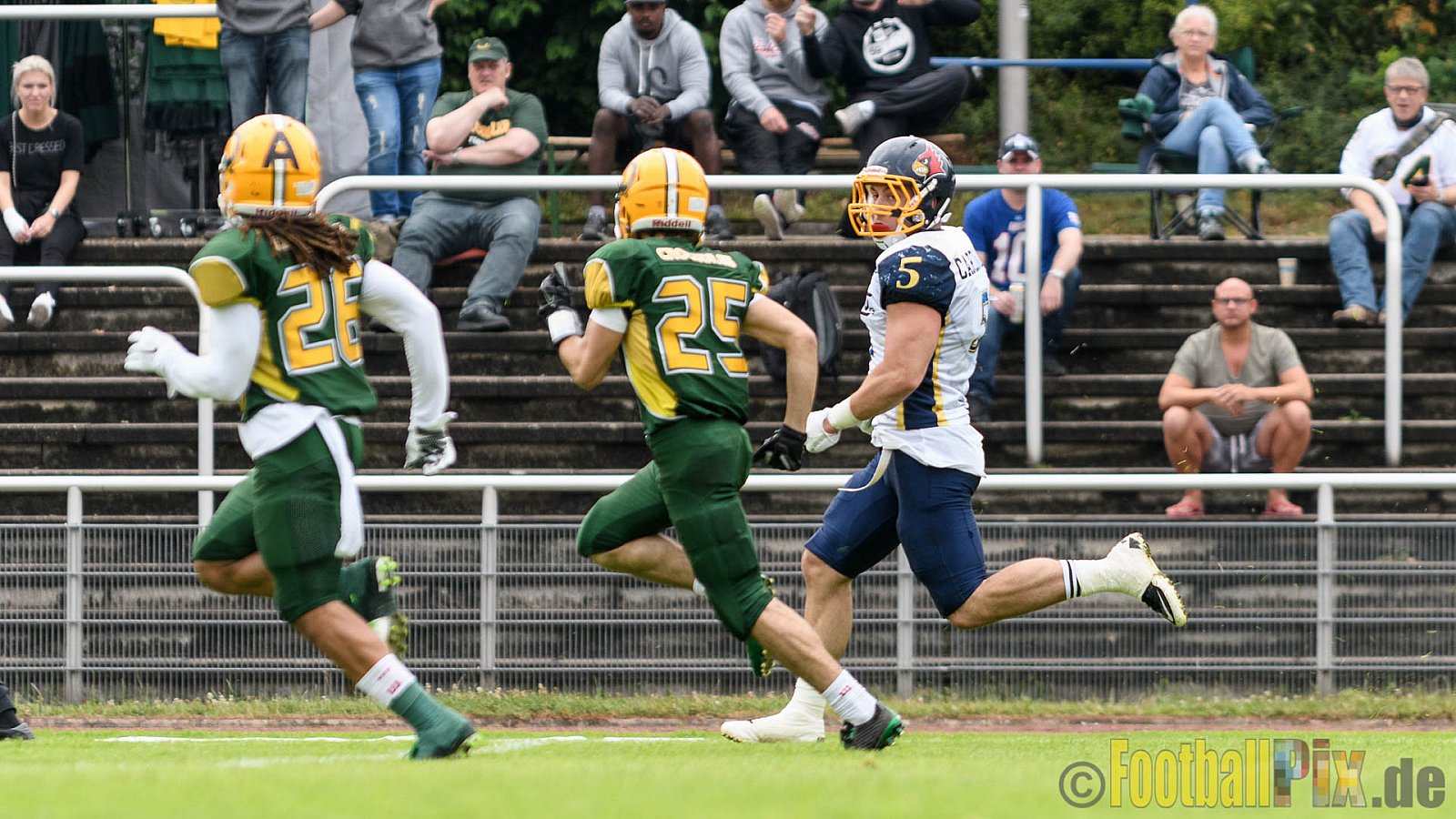 Cologne Crocodiles vs. Essen Assindia Cardinals - 31.07.2016 GFL2: Cologne Crocodiles vs. Essen Assindia Cardinals (43:7)