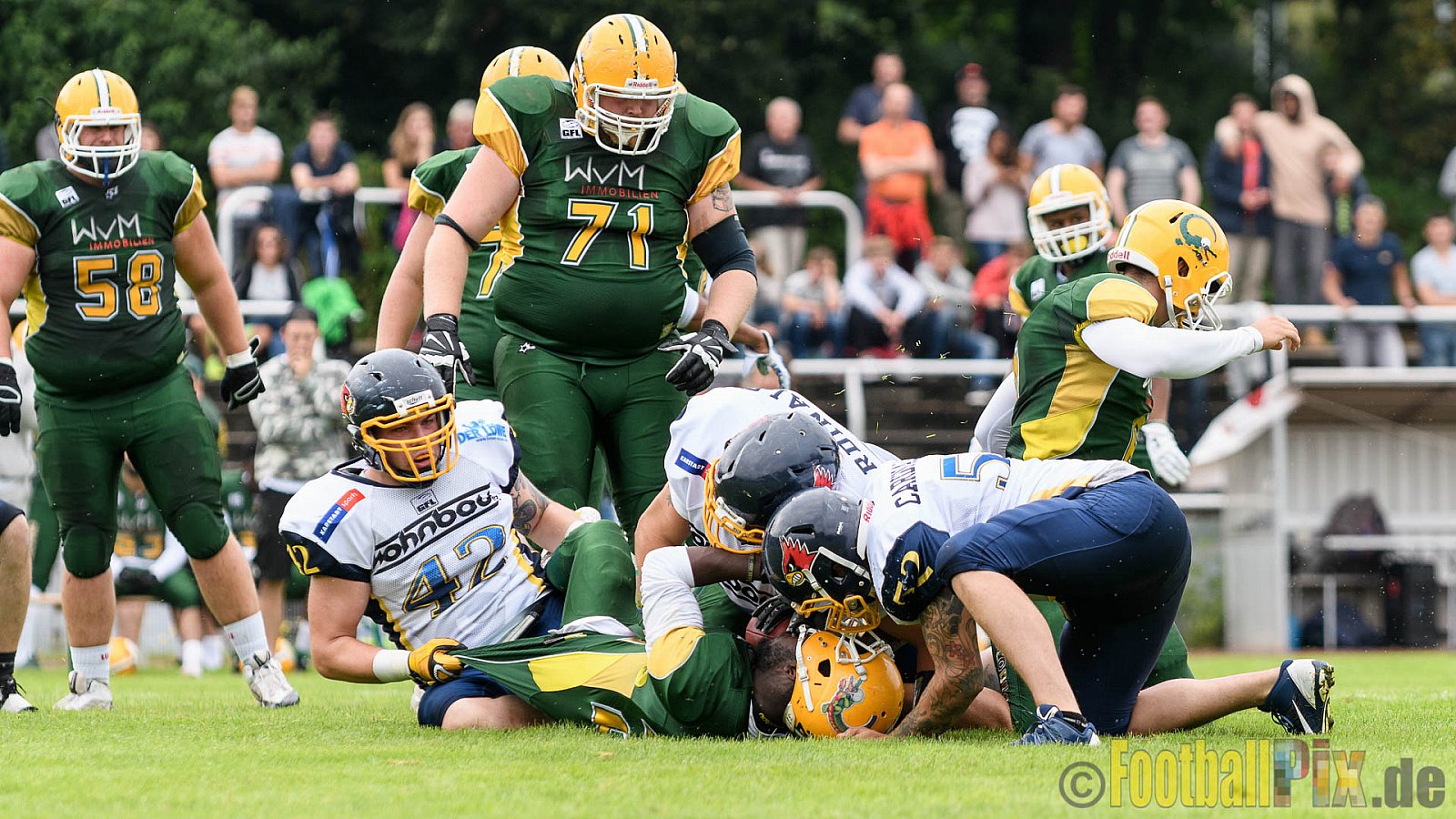 Cologne Crocodiles vs. Essen Assindia Cardinals - 31.07.2016 GFL2: Cologne Crocodiles vs. Essen Assindia Cardinals (43:7)
