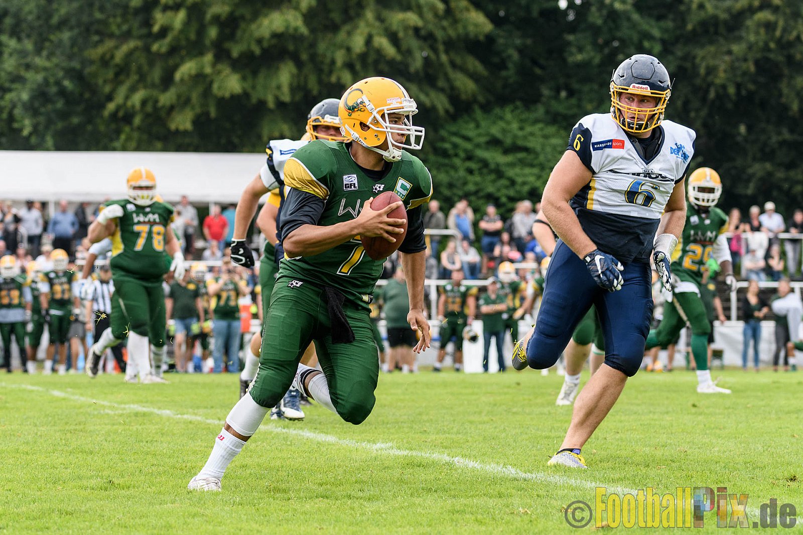 Cologne Crocodiles vs. Essen Assindia Cardinals - 31.07.2016 GFL2: Cologne Crocodiles vs. Essen Assindia Cardinals (43:7)