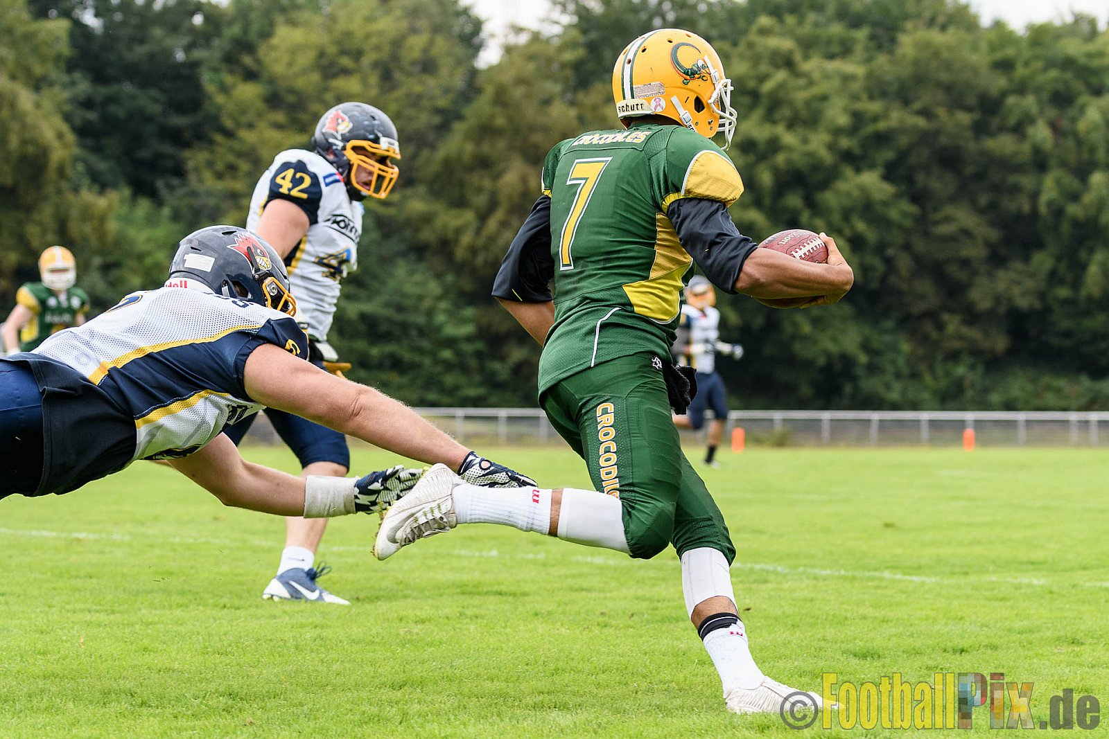 Cologne Crocodiles vs. Essen Assindia Cardinals - 31.07.2016 GFL2: Cologne Crocodiles vs. Essen Assindia Cardinals (43:7)