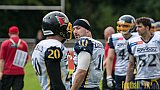 Cologne Crocodiles vs. Essen Assindia Cardinals - 31.07.2016 GFL2: Cologne Crocodiles vs. Essen Assindia Cardinals (43:7)
