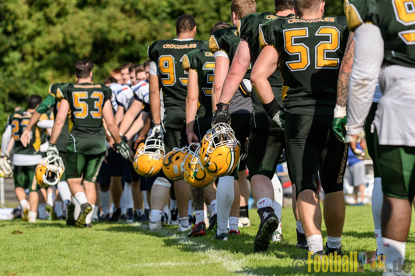 Cologne Crocodiles vs. Essen Assindia Cardinals - 31.07.2016 GFL2: Cologne Crocodiles vs. Essen Assindia Cardinals (43:7)