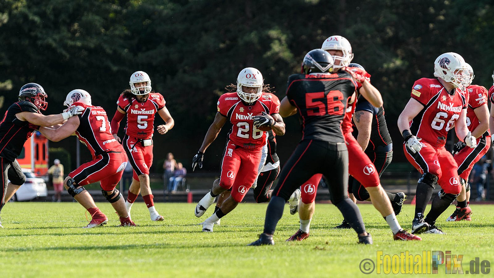 Düsseldorf Panther vs. New Yorker Lions - 06.08.2016 GFL Nord: Düsseldorf Panther vs. New Yorker Lions (10:49)