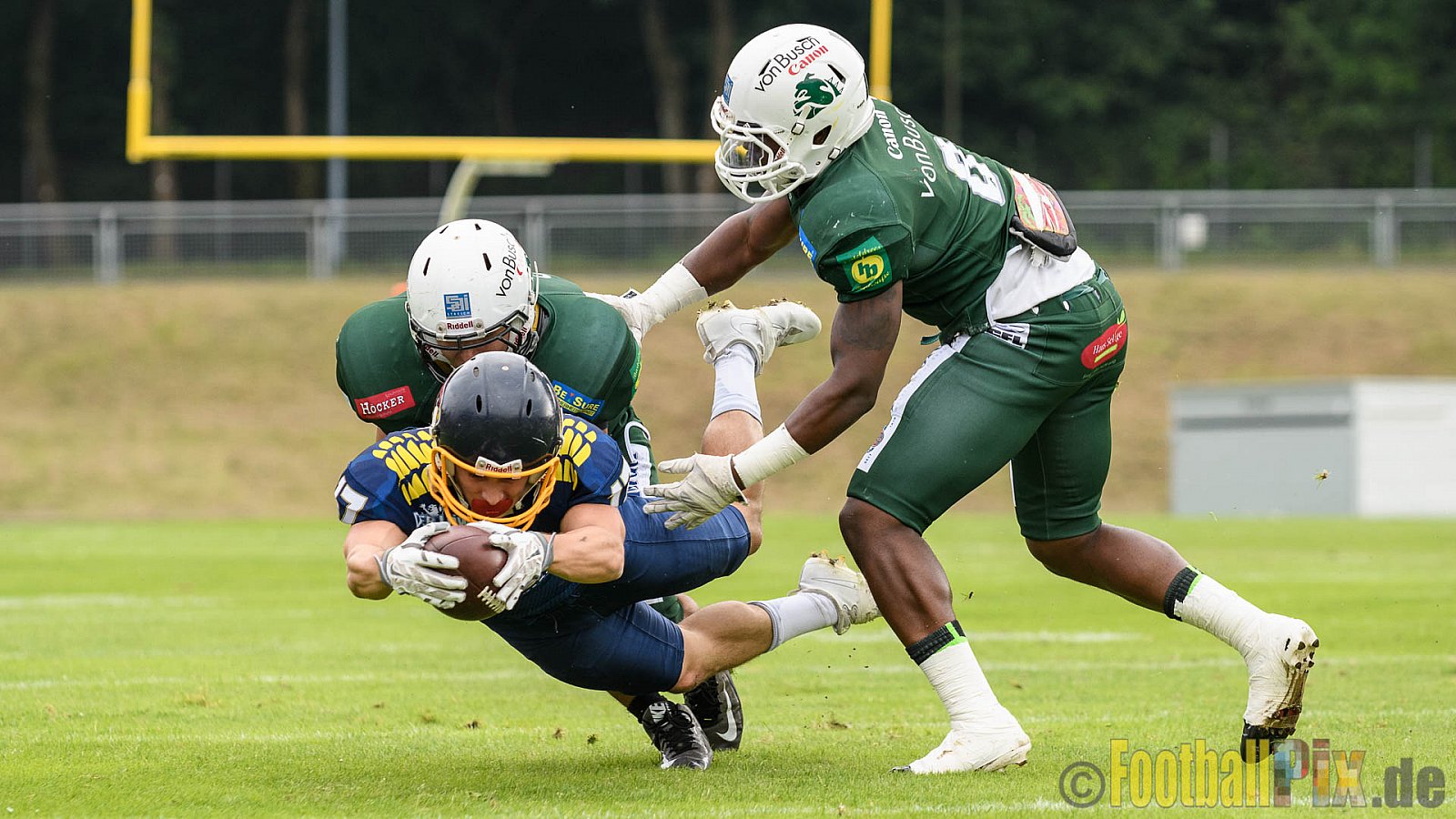 Essen Assindia Cardinals vs. Bielefeld Bulldogs - 13.08.2016 GFL2: Essen Assindia Cardinals vs. Bielefeld Bulldogs (49:6)