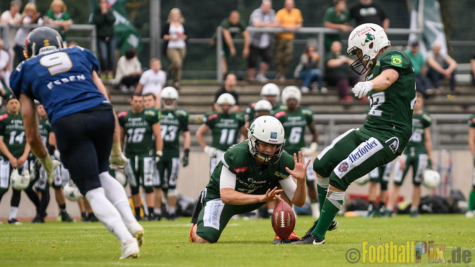 Essen Assindia Cardinals vs. Bielefeld Bulldogs - 13.08.2016 GFL2: Essen Assindia Cardinals vs. Bielefeld Bulldogs (49:6)