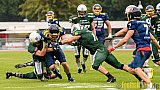 Essen Assindia Cardinals vs. Bielefeld Bulldogs - 13.08.2016 GFL2: Essen Assindia Cardinals vs. Bielefeld Bulldogs (49:6)