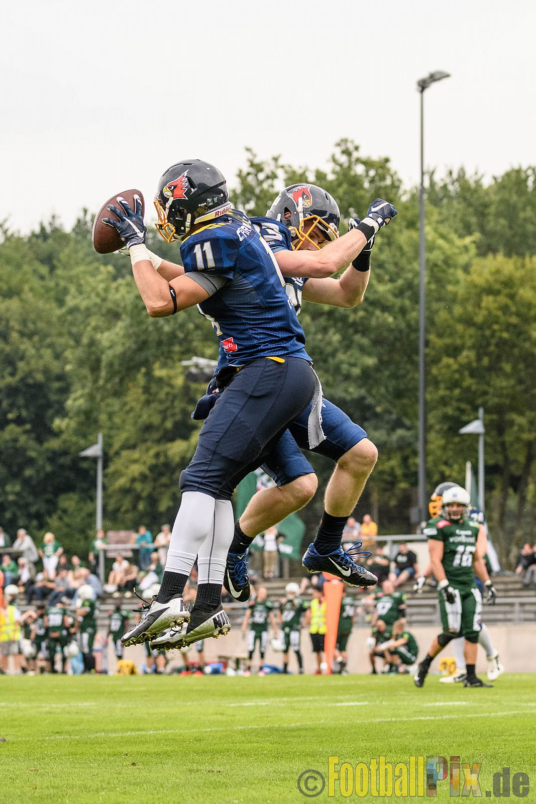 Essen Assindia Cardinals vs. Bielefeld Bulldogs - 13.08.2016 GFL2: Essen Assindia Cardinals vs. Bielefeld Bulldogs (49:6)