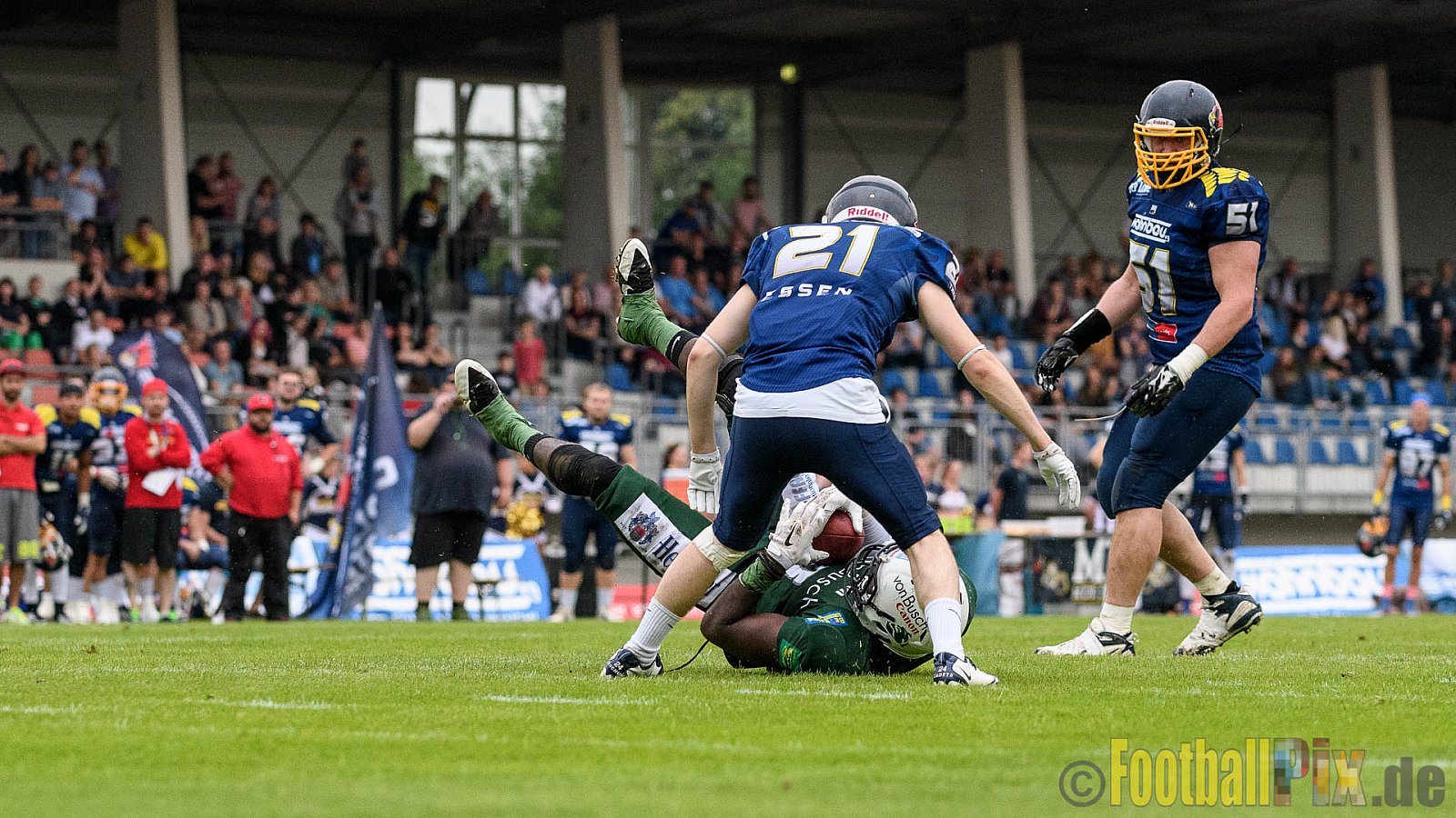 Essen Assindia Cardinals vs. Bielefeld Bulldogs - 13.08.2016 GFL2: Essen Assindia Cardinals vs. Bielefeld Bulldogs (49:6)