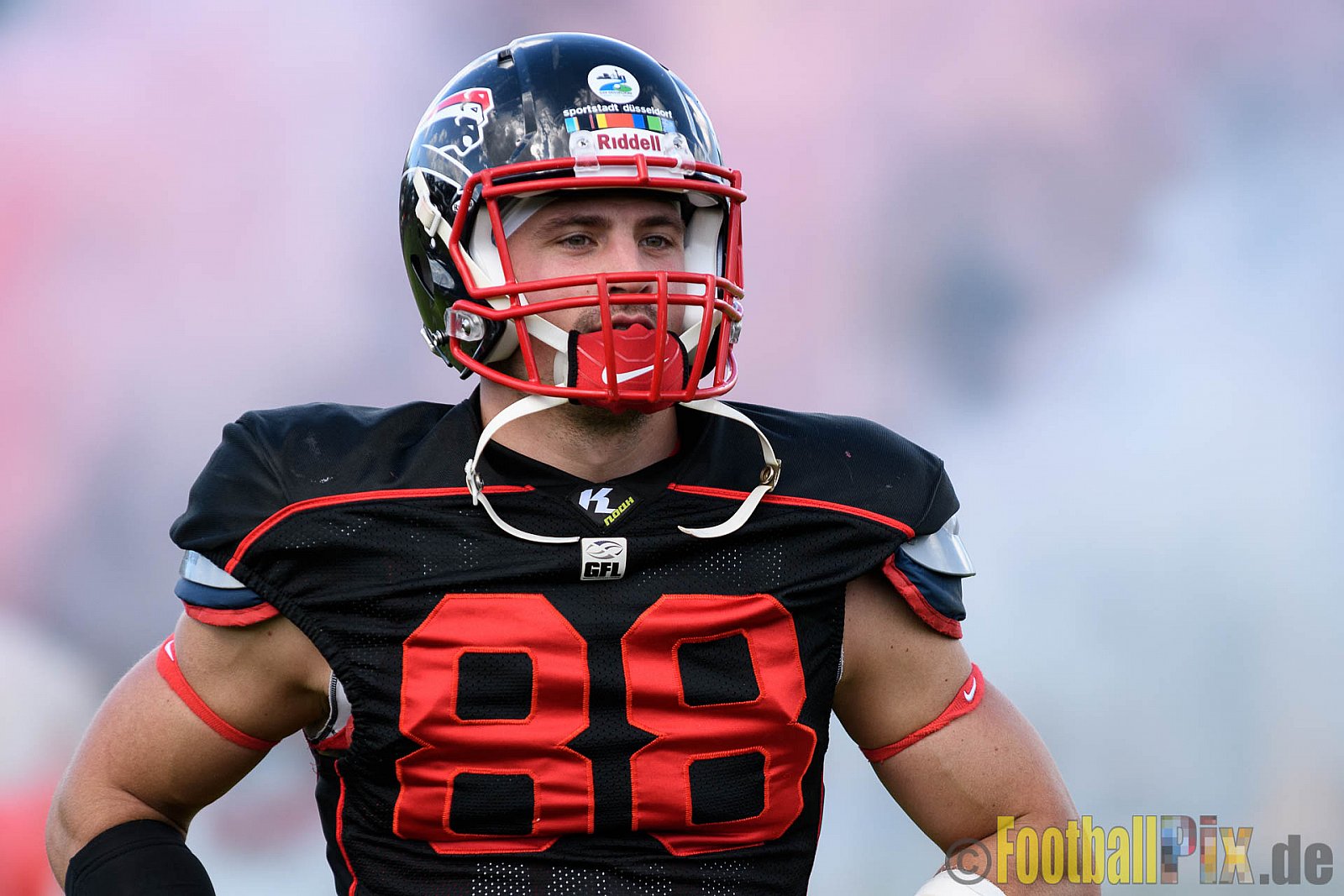 Düsseldorf Panther vs. Dresden Monarchs - 20.08.2016 GFL Nord: Düsseldorf Panther vs. Dresden Monarchs (16:69)