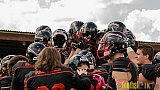 D&uuml;sseldorf Panther vs. Dresden Monarchs - 20.08.2016 GFL Nord: D&uuml;sseldorf Panther vs. Dresden Monarchs (16:69)